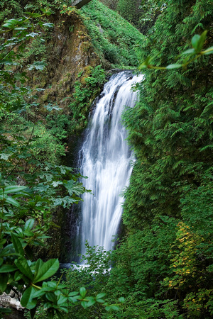 Lower Multnomal Falls