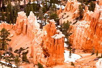 Bryce Canyon Hoodoo